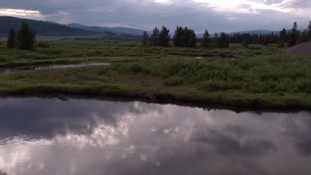 Langzaam Vliegen Rivier Crashen Struiken Langs Rivier — Stockvideo