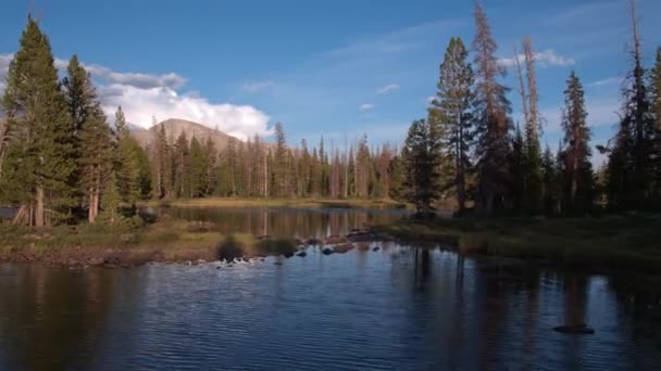 Flyger Över Dammen Och Stiger Över Träden Utah Mountains — Stockvideo