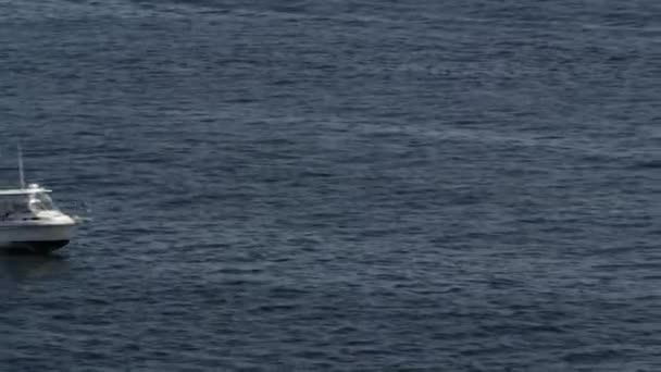 Liten Båt Fortkörning Över Vattnet Puget Sound — Stockvideo