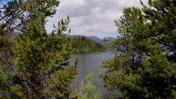 松の木を通り抜け モンタナ州の湖の上を飛ぶ — ストック動画