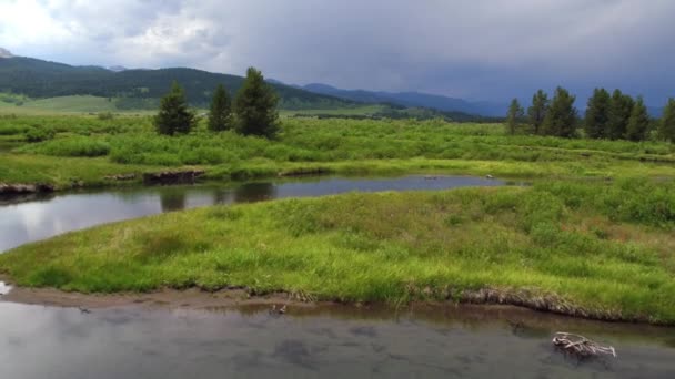 Langsam Über Windigen Fluss Und Grüne Landschaft Fliegen — Stockvideo