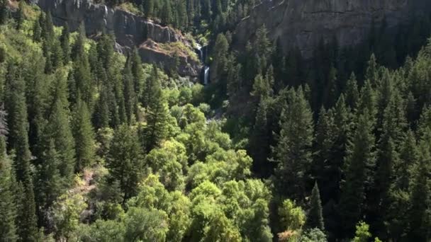 Voando Para Longe Cachoeira Sobre Floresta Verde Lado Montanha — Vídeo de Stock