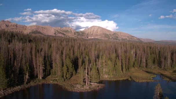 Roterande Över Sjö Och Skog Uinta Bergen — Stockvideo