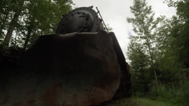 Vista Panoramica Del Motore Del Treno Nella Foresta Dell Alaska — Video Stock