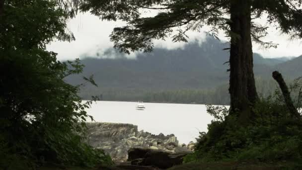 Bekijk Door Bomen Naar Een Boot Wateren Van Alaska — Stockvideo