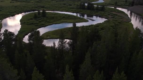 黄昏时分缓慢地飞过森林 向河流飞去 — 图库视频影像