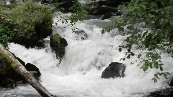 Blick Auf Wasser Das Einen Fluss Alaska Hinunterfällt — Stockvideo