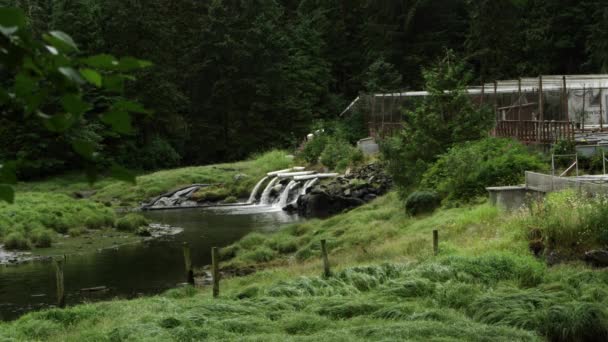 Veduta Statica Dell Acqua Che Fuoriesce Dai Tubi Nel Torrente — Video Stock