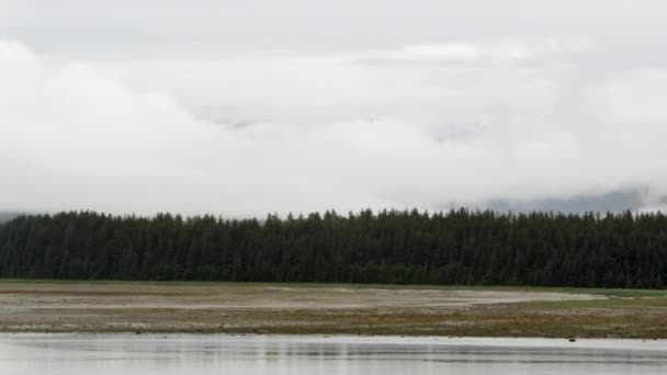 Parte Del Paesaggio Nave Crociera Alaska — Video Stock