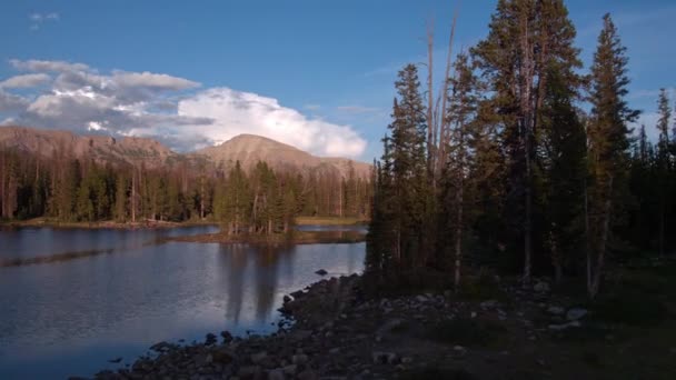 Πετώντας Πάνω Από Λιμνούλα Και Ανεβαίνουν Πάνω Από Δέντρα Στα — Αρχείο Βίντεο