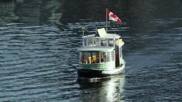 ユタ州 アメリカ Circa 2017 カナダのビクトリア港の水中を移動するボートの眺め — ストック動画