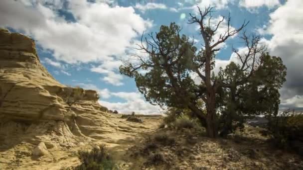 犹他州埃斯卡兰特沙漠景观的延时 — 图库视频影像