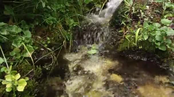 Panorering Från Vänster Liten Ström Sipprande Med Reglaget — Stockvideo