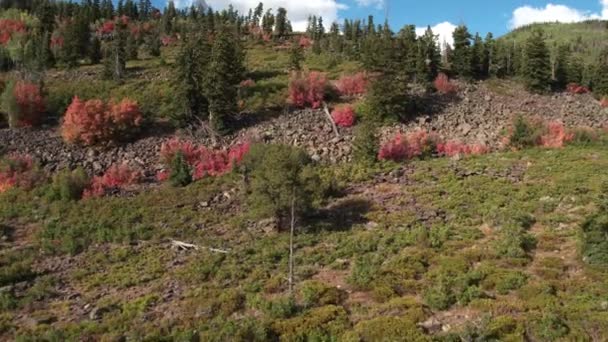 Voler vers l'arrière sur le flanc d'une colline rocheuse dans les montagnes Uinta .