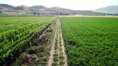 Utah Mısır ve saman alanı arasında kir yol aşağı uçan.