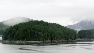 Alaska'da çam ağaçlarıyla kaplı ada dan geçerken yavaş hareket eden tava