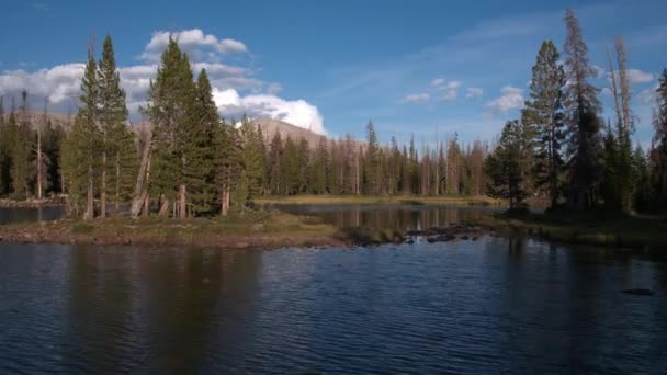 Vliegen Het Meer Door Pijnbomen Uinta Mountains — Stockvideo