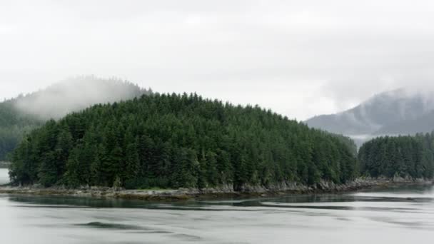 Pan Lent Passé Île Couverte Dans Les Pins Alaska — Video