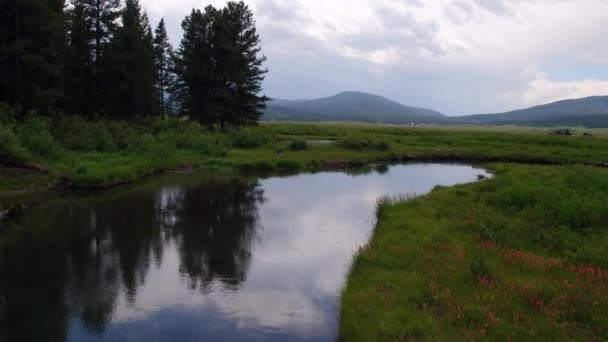 飞过蜿蜒的河流 欣赏绿色景观 — 图库视频影像