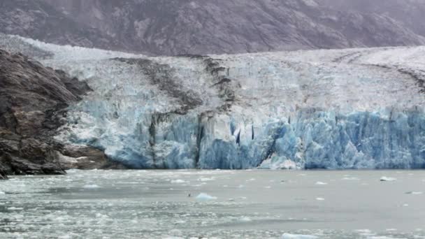アラスカの海に出会う氷河の眺め — ストック動画