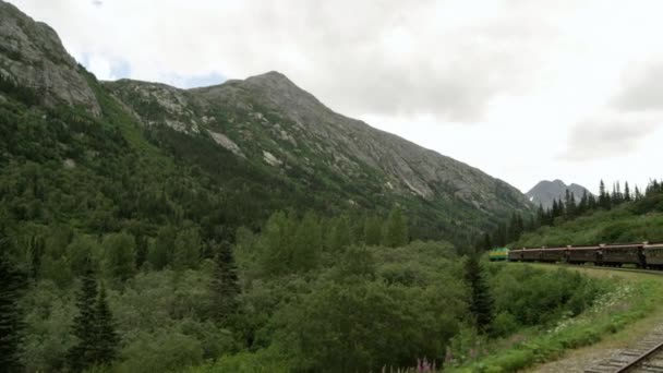 Vista Treno Che Attraversa Foresta Dell Alaska — Video Stock