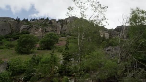 Panning Uitzicht Heuvel Met Roze Bloemen Wildernis Van Alaskan — Stockvideo