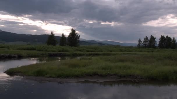 在黄昏时分 缓缓飞过河流和过去的单棵树 — 图库视频影像