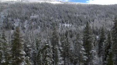 Kış aylarında karla kaplı yamaçta yetişen ormanın panning görünümü.