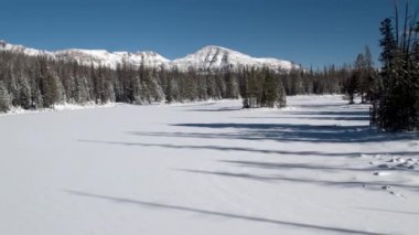 Orman izleme yolu ağaçları kesme üzerinde yükselen donmuş göl üzerinde alçaktan uçan hava tavası.