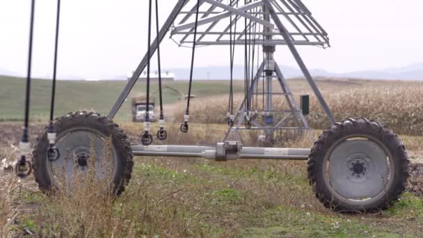 農民分野のそよ風に揺れるスプリンクラーの眺め — ストック動画