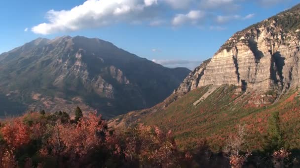 Voando Através Árvores Coloridas Que Visualizam Vale Montanha Durante Queda — Vídeo de Stock