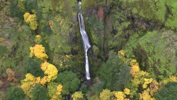 Вид Повітря Водоспад Зелень Восени — стокове відео