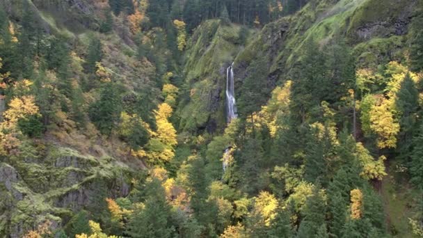 Letecký Pohled Přibližuje Vodopád Mezi Zelení Měnící Barvy Podzim — Stock video