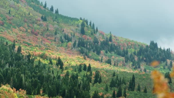 Vue Panoramique Zoomée Flanc Coloré Montagne Pendant Automne Dans Utah — Video