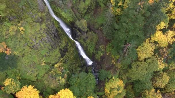 Vista Aérea Árvores Cachoeira Voando Para Trás Durante Queda — Vídeo de Stock