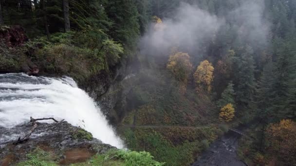 Sartén Sobre Parte Superior Cascada Hacia Bosque Debajo Mostrando Pinos — Vídeo de stock