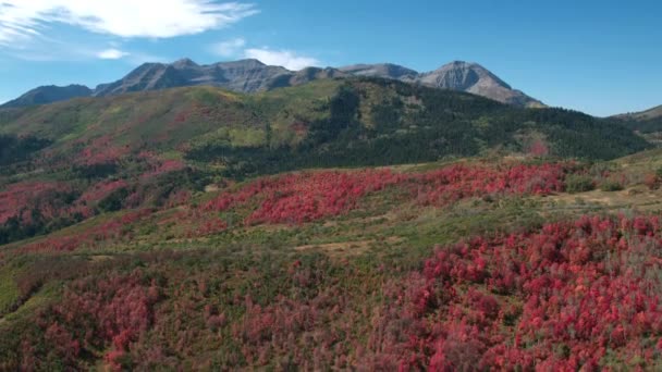 Veduta Aerea Del Colore Autunnale Sulla Foresta Colorata Nelle Montagne — Video Stock