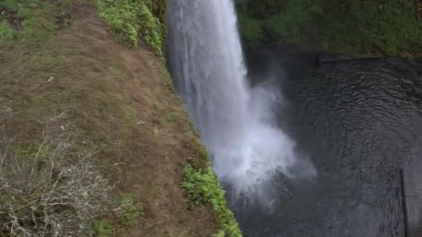 Pfanne Rechts Vom Boden Eines Wasserfalls Und Das Grün Rund — Stockvideo