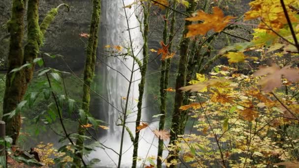 Lindo Deslizante Tiro Uma Cachoeira Vista Através Folhagem Colorida Exuberante — Vídeo de Stock