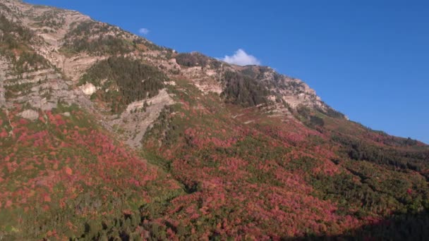 Luchtfoto Van Kleurrijk Loof Bergzijde Temp Blue Sky Utah — Stockvideo