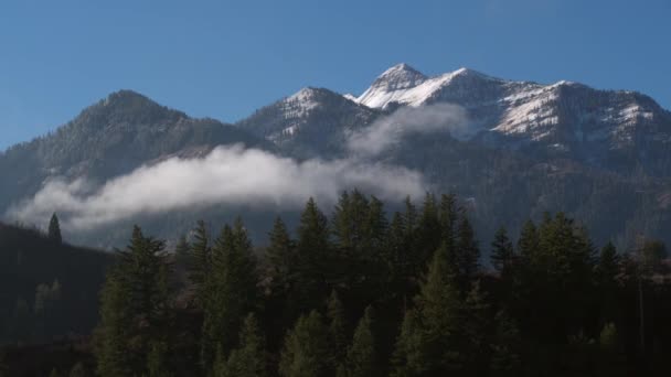 丘の上の松の木の空中ビューをパン再びユタ州の雪に覆われた山 — ストック動画