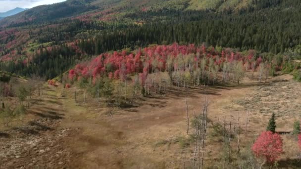Aerial View Mountain Valley Flying Colorful Red Foliage Fall — Stock Video