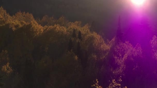 Повітряна Думка Про Падіння Кольору Над Барвистими Лісами Горах Юта — стокове відео