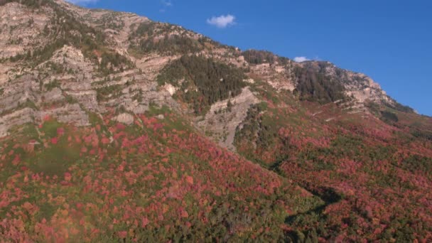 犹他州一座山边的五颜六色的树叶鸟瞰图 — 图库视频影像