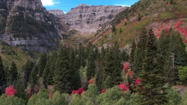 Utah Dağlarında Renkli Orman Üzerinde Sonbahar Renk Havadan Görünümü — Stok video