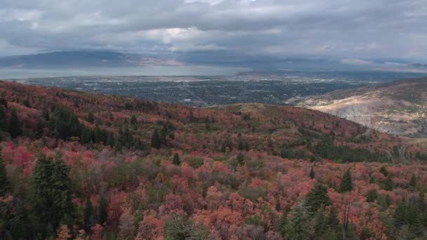 Aerial Shot Flying Backwards Fall Foliage Viewing City Lake — Stock Video