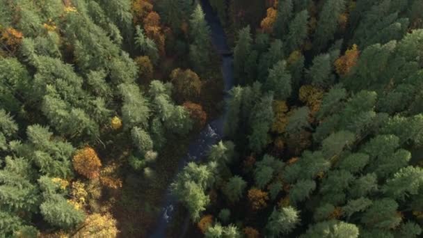 Luftaufnahme Blick Nach Unten Richtung Fluss Flussaufwärts Zum Wasserfall Oregon — Stockvideo