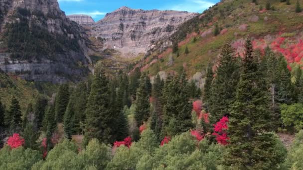 Vista Aérea Cor Queda Sobre Floresta Colorida Nas Montanhas Utah — Vídeo de Stock