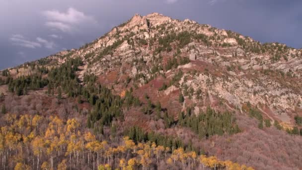 Вид Воздуха Красочный Лес Горах Юты Осенью — стоковое видео
