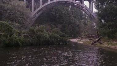 Cape Creek Köprüsü altında nehir boyunca Heceta Head plajına doğru uçan.